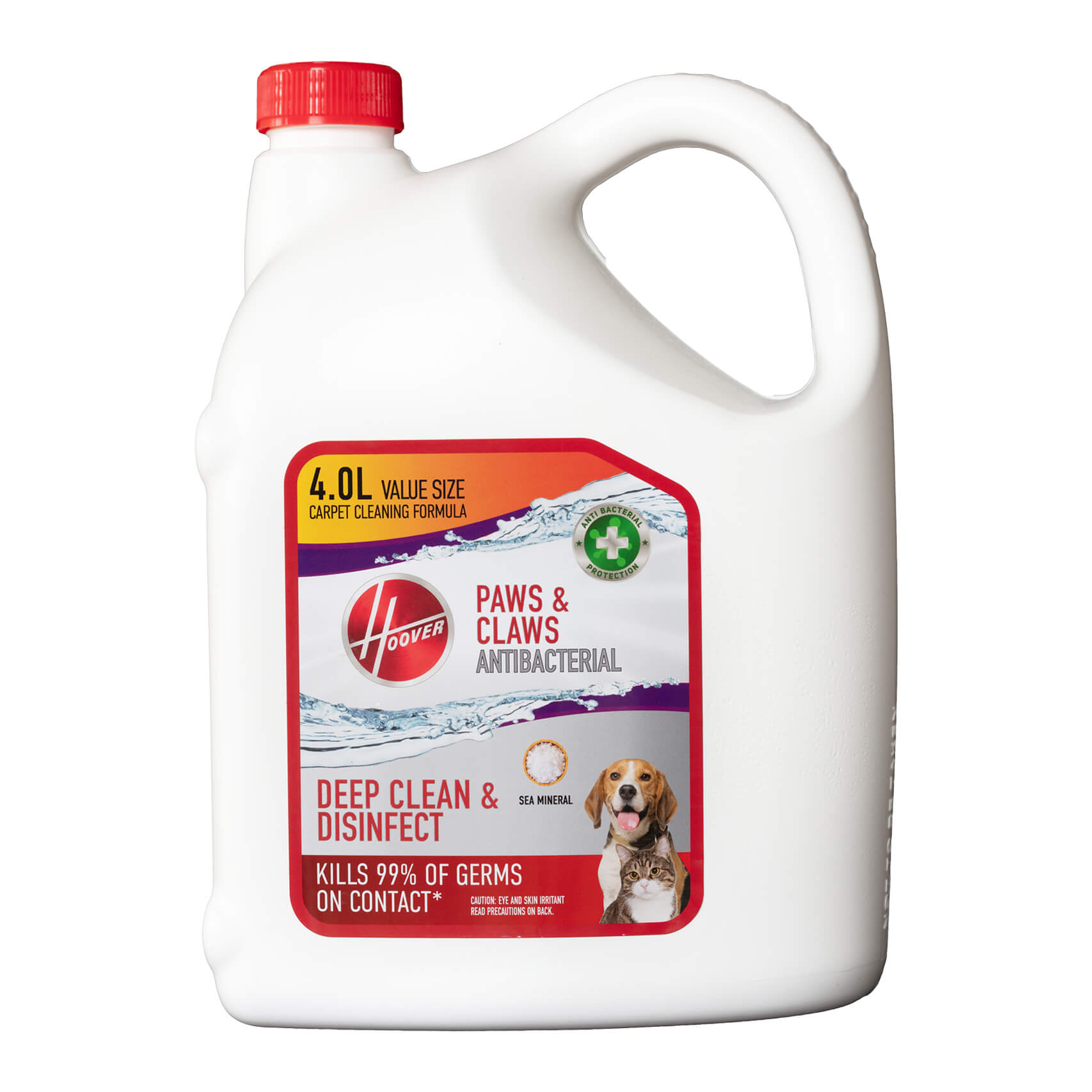 Cleaning Solutions Hoover